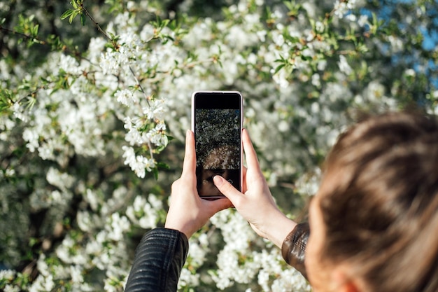 Vrouwelijke hand met mobiele telefoon en neem foto bloeiende lentekersenbomen in zonlicht smartphone