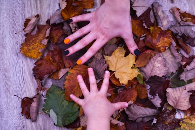 Vrouwelijke hand met mooie herfstmanicure en een kinderhand op een achtergrond van kleurrijke herfstbladeren Bekijk van bovenaf