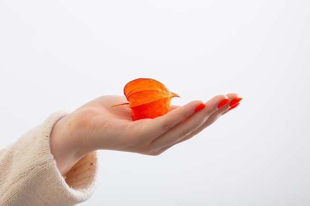 Vrouwelijke hand met oranje manicure met physalis op witte achtergrond