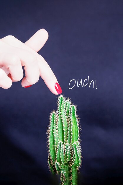 Vrouwelijke hand met rode nagellak en groene stekelige cactus