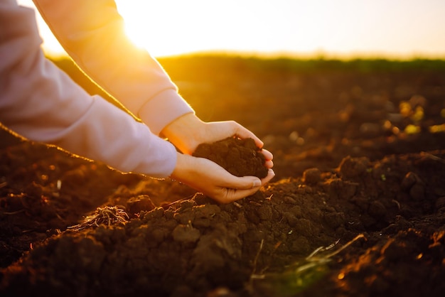 Vrouwelijke handen aanraken van de bodem op het veld bij zonsondergang Landbouw biologische tuinieren planten concept