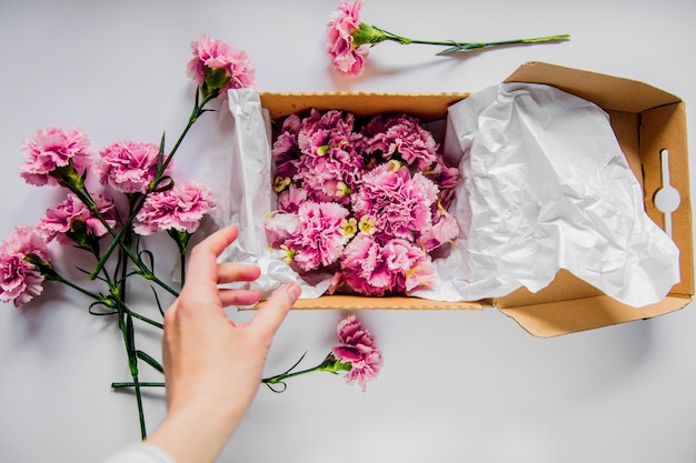 Foto vrouwelijke handen die dianthus in een geschenkdoos verpakken op witte muur