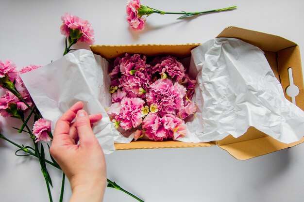 Vrouwelijke handen die dianthus in een geschenkdoos verpakken op witte muur