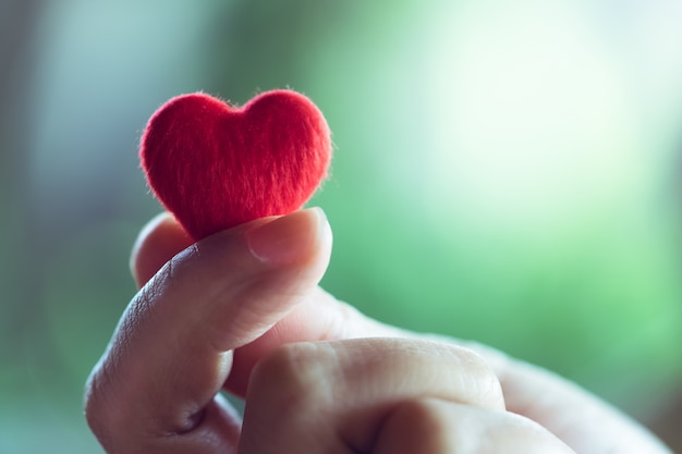 Vrouwelijke handen die een klein rood hart, het concept van de dag van de Valentijnskaart houden