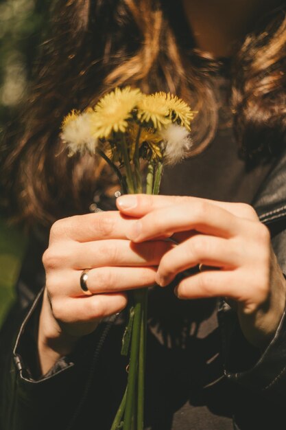 Vrouwelijke handen die gele bloem houden. Gele paardebloem