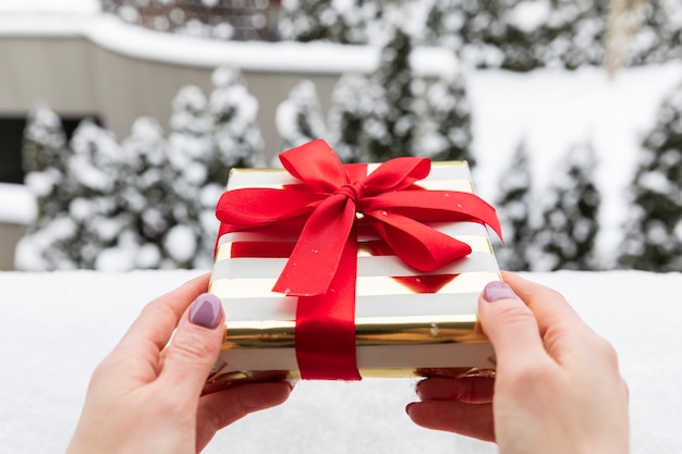 Foto vrouwelijke handen houden een kerstcadeau in besneeuwde bossen