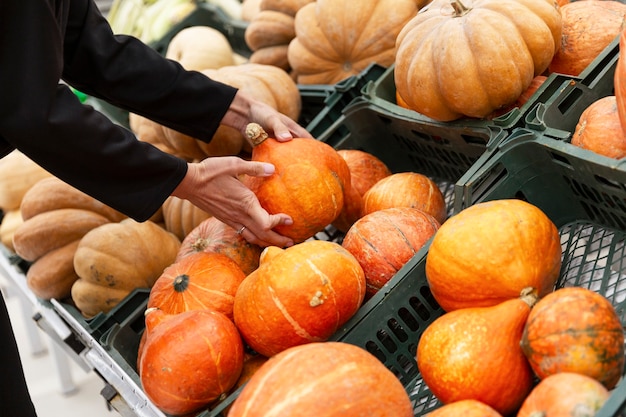 Vrouwelijke handen kiezen een pompoen in de winkel