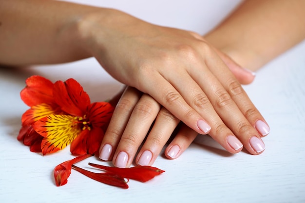 Vrouwelijke handen met Franse manicure en bloem op tafel close-up