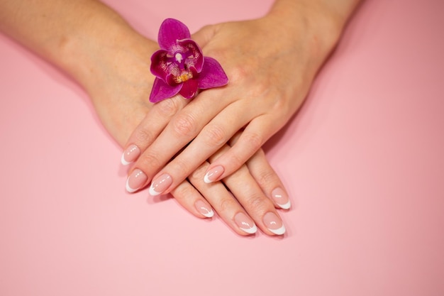 Vrouwelijke handen met mooie klassieke french white manicure vingers geïsoleerd op een pastelroze achtergrond