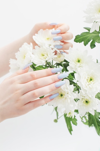 Vrouwelijke handen met prachtige manicure en chrysantenbloemen