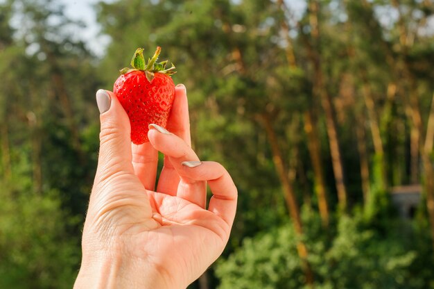 Vrouwelijke handen met verse aardbeien close-up. Zomer concept.