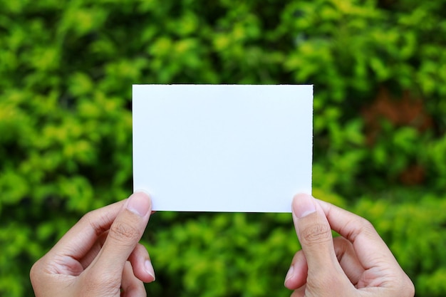 Foto vrouwelijke handen met wit blanco visitekaartje papier op groene bladeren achtergrond