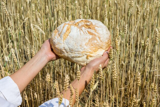 Vrouwelijke handen met zelfgebakken brood boven rijp tarweveld