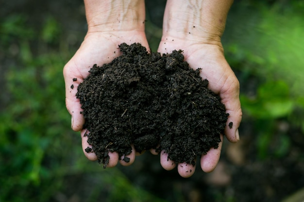 Vrouwelijke handen met zwart bodemvruchtbaarheids- en natuurconcept