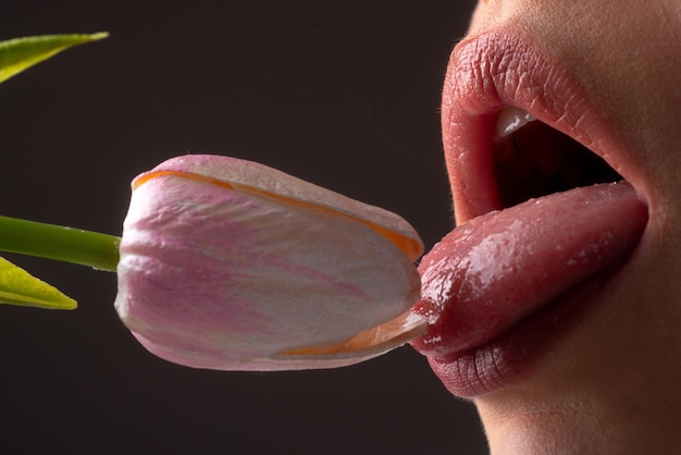 Vrouwelijke mond met sexy roze lippen geïsoleerde close-up. Close-up vrouw sensuele lippen met rode lippenstift. Gepassioneerde lip. Zuigen likken kussen concept.