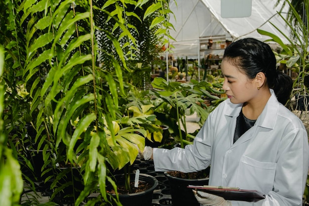 Vrouwelijke onderzoeker onderzoekt planten thaise orchideeëntuin orchideegezondheidscontrole voor onderzoeksdoeleinden