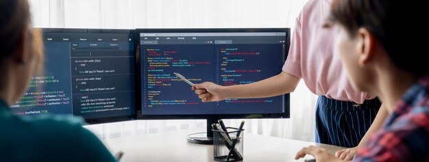 Vrouwelijke programmeur presenteert programma codering terwijl manager luistert Broeiende