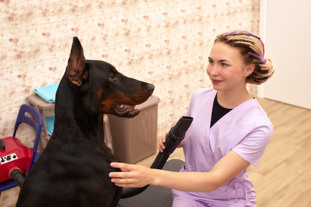 Vrouwelijke therapeut die met hond in veterinaire kliniek werkt