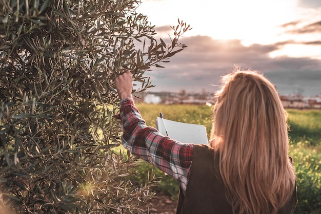 Vrouwelijke veldingenieur onderzoekt agrarische plantage Integratie agronomist vrouwen in het veld