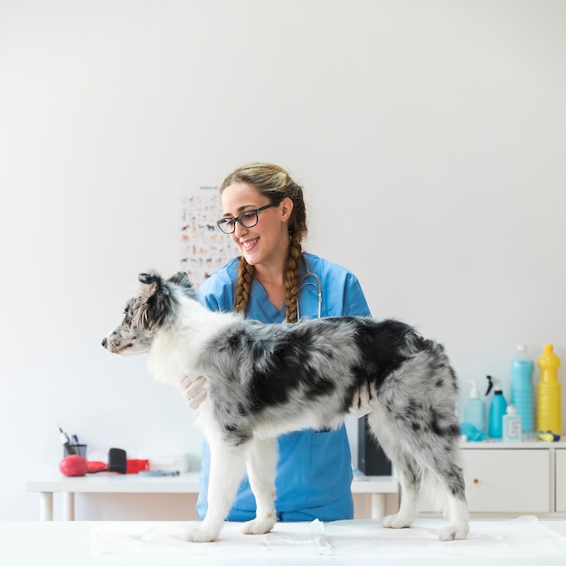 Foto vrouwelijke veterinaire holdingshond die zich op lijst in kliniek bevinden