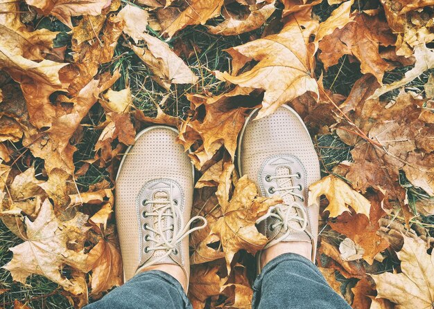 Vrouwelijke voeten in de leren schoenen tussen herfstbladeren