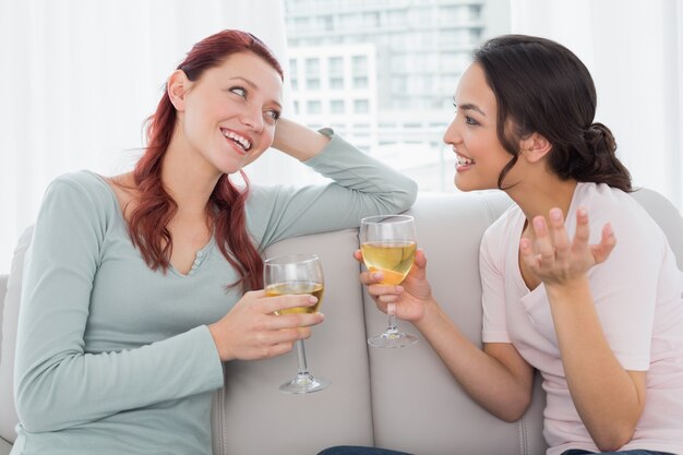 Vrouwelijke vrienden met wijnglazen die thuis babbelen