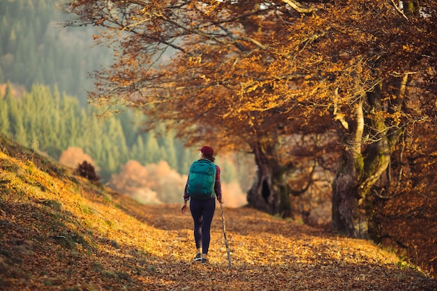 Vrouwelijke wandelaar op landweg dichtbij bergbos