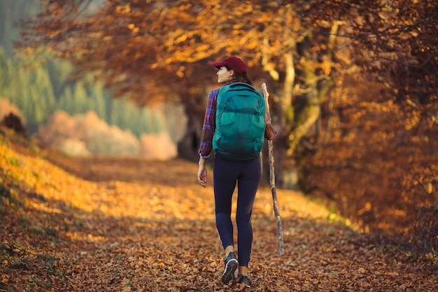 Vrouwelijke wandelaar wandelen onder de stralen van de ochtendzon in de bergbos vrouw backpacker