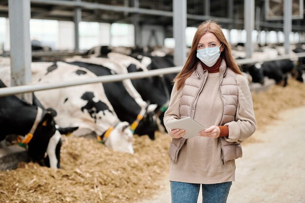 Vrouwelijke werknemer van dierenboerderij in vrijetijdskleding en beschermend masker staande tegen lange gangpad en grote paddock met kudde raszuivere melkkoeien