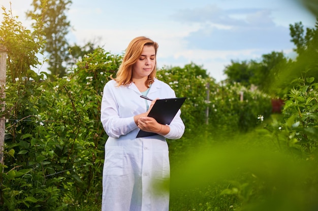 Vrouwelijke wetenschapper aan het werk in fruittuin Bioloog-inspecteur onderzoekt bramenstruiken