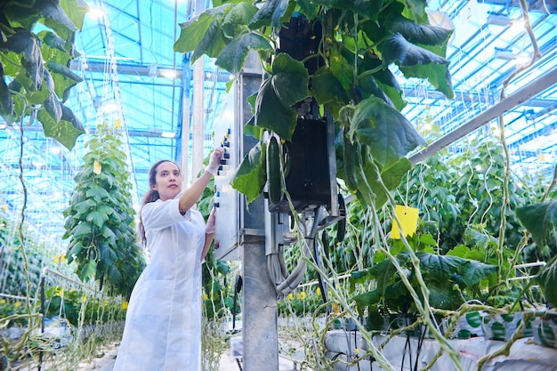 Vrouwelijke wetenschapper die groenten onderzoekt