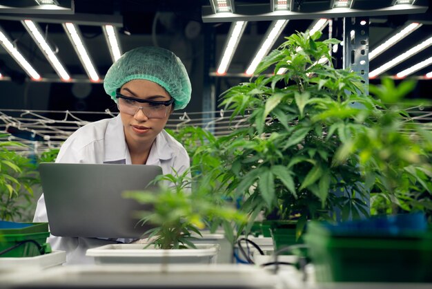 Vrouwelijke wetenschapper met een verwijderingsdop aan het werk met haar verheugende cannabisplant