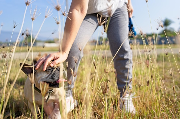 Vrouwen aaien buiten op het veld de kop van de hond.