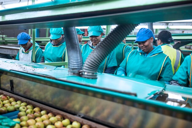 Vrouwen aan het werk in de appelfabriek