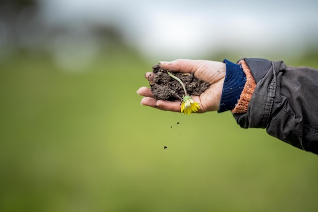 Vrouwen in de landbouw werken op een ranch in Amerika Bodemwetenschapper voelt een bodemmonster testen op micro-organismen en schimmels