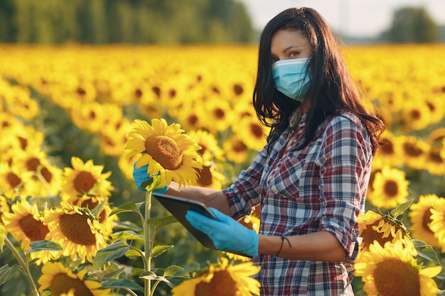 Vrouwenboer agronoom in handschoenen en gezichtsmasker op zonnebloemveld met tablet die de oogst controleert.