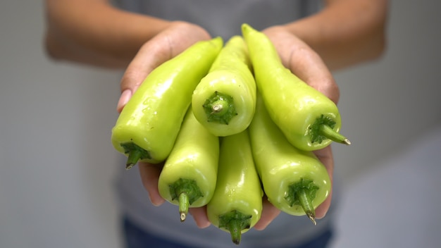 Vrouwenhand die Groene Spaanse peper houden