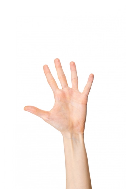 Vrouwenhand die vijf vingers op witte achtergrond tonen