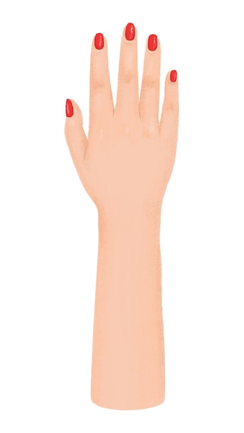Vrouwenhand png gebaar illustratie doorzichtige achtergrond