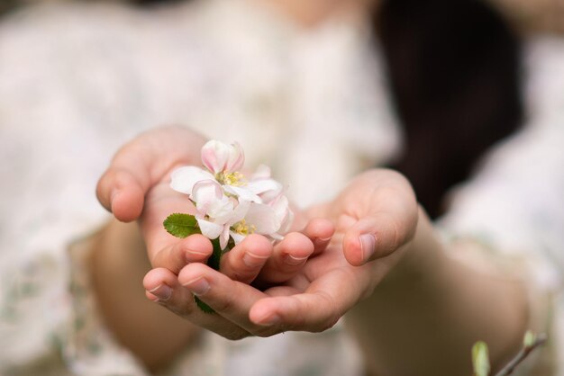 Vrouwenhanden houden een bloeiend roze takje vast met witte kersen- en appelbloesems