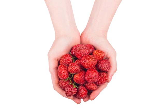 Vrouwenhanden houden een handvol verse aardbeien vast