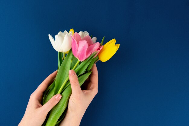 Vrouwenhanden met manicure die kleurrijke tulpen op blauwe achtergrond houden