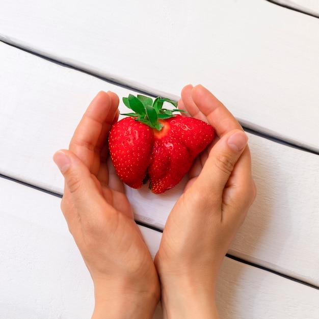 Vrouwenhanden op witte houten achtergrond die lelijke aardbei houden. Lelijk eten en onvolmaakte producten