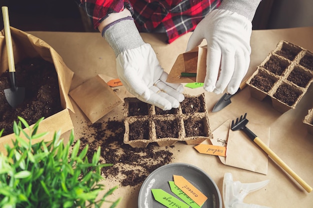 Vrouwenhanden planten zaden thuis tuinieren hobby's en agrarisch leven tijdens lockdown het concept van ecologische en plantaardige economie earth day