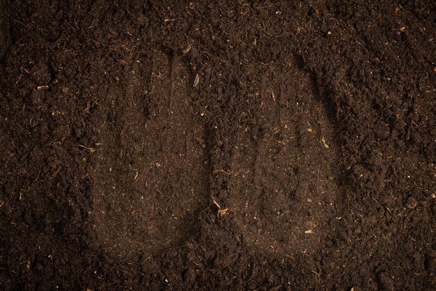 Vrouwenhandspoor op een grond. Bovenaanzicht.