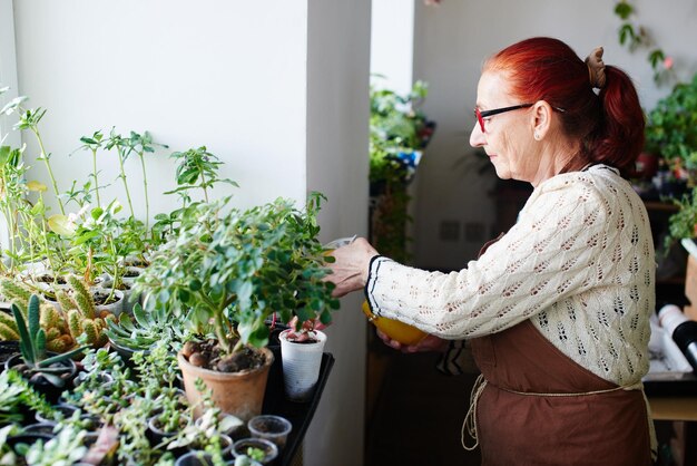 Vrouwenhobby. Oma squirt en verzorgt kamerplanten en bloemen