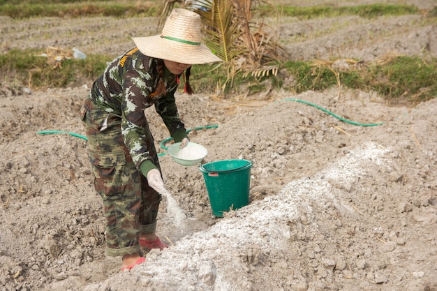 Vrouwentuinders zetten kalk of calciumhydroxide in de grond om de zuurtegraad van de grond te neutraliseren.