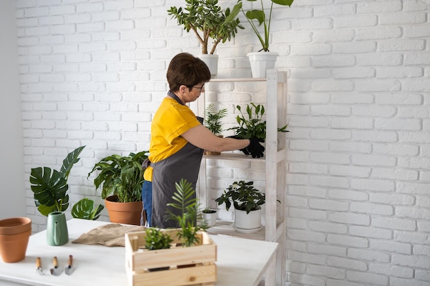 Vrouwentuinman van middelbare leeftijd plant plant in keramische potten op het witte houten tafelconcept van