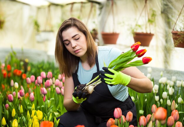 Foto vrouwentuinmanbloemist die een boeket bloemen houdt die zich in een serre bevinden waar de tulpen cultiveren glimlachende tuinman die tulpen met bollen houdt lente veel tulpenbloemenconcept