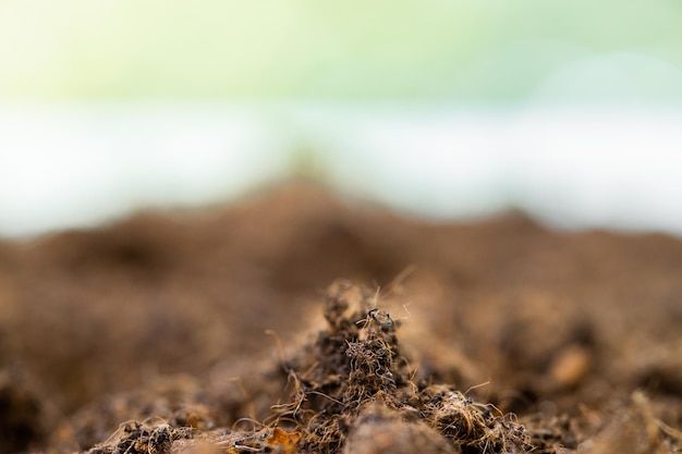 Vruchtbare bodem textuur achtergrond gezien van bovenaf bovenaanzicht Tuinieren of planten concept met kopie s